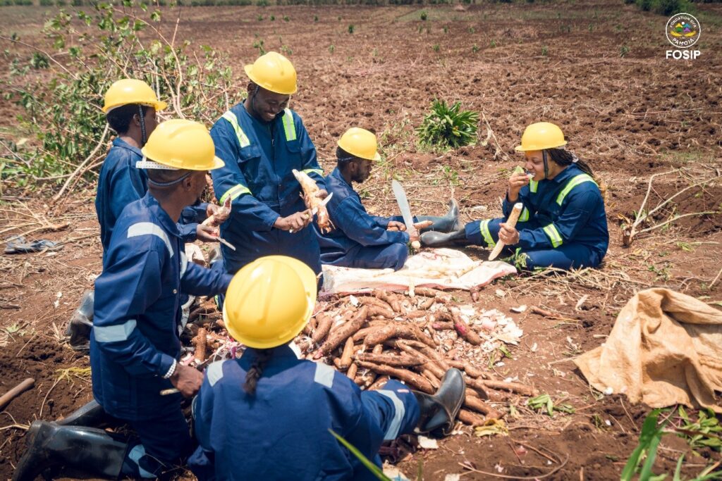 Femmes Organisées dans le Système Intégré du Progrès FOSIP-DRC